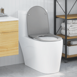Casa si Gradina - Sanitare - Obiecte sanitare - Accesorii vase de toaleta - Capac WC cu eliberare rapida, inchidere lenta, gri, duroplast - Infinity.ro