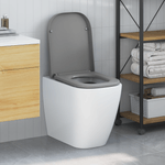 Casa si Gradina - Sanitare - Obiecte sanitare - Accesorii vase de toaleta - Capac WC cu eliberare rapida, inchidere lenta, gri, duroplast - Infinity.ro