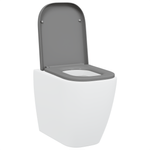 Casa si Gradina - Sanitare - Obiecte sanitare - Accesorii vase de toaleta - Capac WC cu eliberare rapida, inchidere lenta, gri, duroplast - Infinity.ro