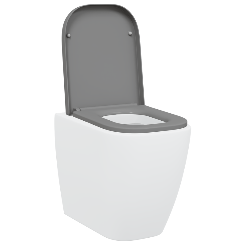 Casa si Gradina - Sanitare - Obiecte sanitare - Accesorii vase de toaleta - Capac WC cu eliberare rapida, inchidere lenta, gri, duroplast - Infinity.ro