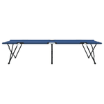 Sport si Outdoor - Camping - Mobilier pentru camping - Alte piese de mobilier pentru camping - Sezlonguri pliabile cu genti de transport 2 buc Albastru 600D Panza Oxford - Infinity.ro