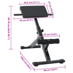 Sport si Outdoor - Fitness - Aparate fitness - Aparate si banci multifunctionale - Banca pentru hiperextensii 120 kg pliabila si ajustabila din otel - Infinity.ro