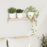 Casa si Gradina - Mobilier - Biblioteci si rafturi - Rafturi - Raft suspendat, 62x10x12,5 cm, lemn masiv nuc - Infinity.ro