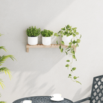 Casa si Gradina - Mobilier - Biblioteci si rafturi - Rafturi - Raft suspendat, 62x10x12,5 cm, lemn masiv nuc - Infinity.ro