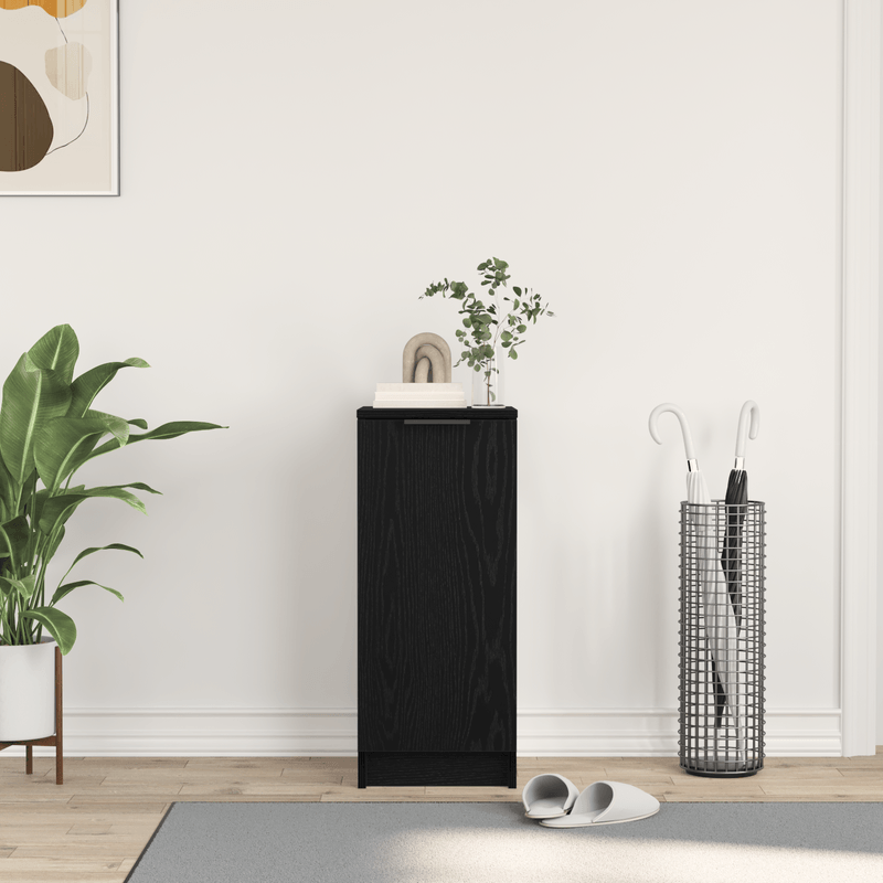 Casa si Gradina - Mobilier - Dulapuri si sifoniere - Dulapuri pantofi - Pantofar, stejar negru, 30x35x70 cm, lemn prelucrat - Infinity.ro