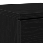 Casa si Gradina - Mobilier - Dulapuri si sifoniere - Dulapuri pantofi - Pantofar, stejar negru, 30x35x70 cm, lemn prelucrat - Infinity.ro