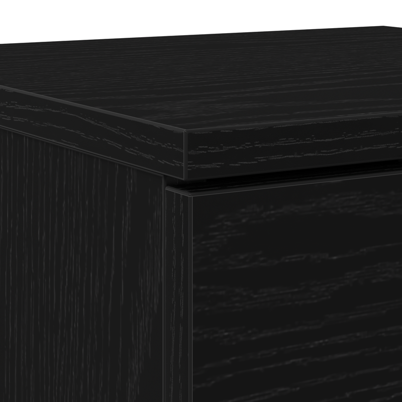 Casa si Gradina - Mobilier - Dulapuri si sifoniere - Dulapuri pantofi - Pantofar, stejar negru, 30x35x70 cm, lemn prelucrat - Infinity.ro