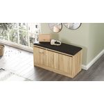 Casa si Gradina - Mobilier - Dulapuri si sifoniere - Dulapuri pantofi - Dulap pantofi, Hanah Home, pal melaminat, stejar, 89.6x45.8x35.5 cm - Infinity.ro