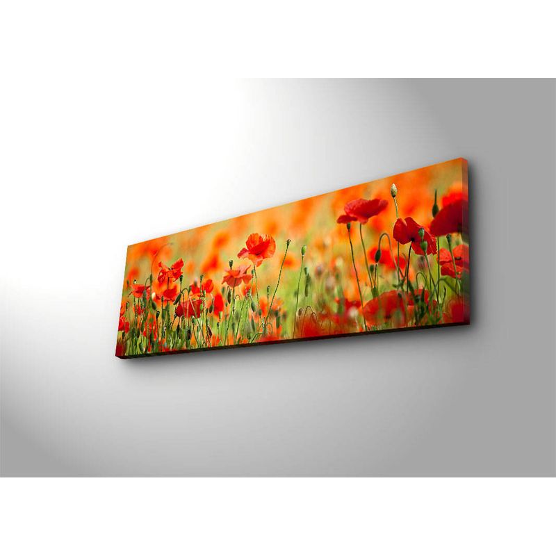 Casa si Gradina - Decoratiuni - Tablouri - Tablou canvas decorativ cu led, Wallxpert, panza suede 100%, multicolor, 30x90 cm, rama lemn - Infinity.ro