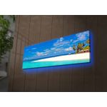 Casa si Gradina - Decoratiuni - Tablouri - Tablou canvas cu led, Wallxpert, multicolor, 30x90 cm, panza piele de caprioara, rama lemn, 239SHN3254 - Infinity.ro