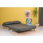 Casa si Gradina - Mobilier - Canapele si coltare - Canapele - Canapea extensibila, Hanah Home, metal si poliester, gri inchis, 120x79x80 cm - Infinity.ro