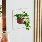 Casa si Gradina - Gradinarit si plante - Plante si ghivece - Ghivece si suporturi - Ghiveci decorativ suspendat, Aberto Design, metal, cupru, 40x40x17 cm - Infinity.ro