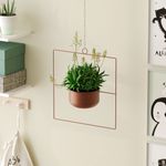 Casa si Gradina - Gradinarit si plante - Plante si ghivece - Ghivece si suporturi - Ghiveci decorativ suspendat, Aberto Design, metal, cupru, 40x40x17 cm - Infinity.ro