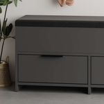 Casa si Gradina - Mobilier - Dulapuri si sifoniere - Dulapuri pantofi - Dulap pantofi, Hanah Home, pal melaminat, antracit, 106x34x50 cm - Infinity.ro