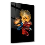 Casa si Gradina - Decoratiuni - Tablouri - Tablou decorativ, Wallxpert, sticla temperata, multicolor, 46x72 cm, 672BRS4660 - Infinity.ro