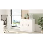 Casa si Gradina - Mobilier - Dulapuri si sifoniere - Dulapuri - Dulap multifunctional, Hanah Home, pal melaminat, alb, 89.1x38.1x73.8 cm - Infinity.ro