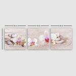 Casa si Gradina - Decoratiuni - Tablouri - Tablou decorativ, Wallxpert, panza, multicolor, 30x90 cm, set 3 piese, 564RMY1295 - Infinity.ro