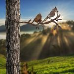 Casa si Gradina - Gradina si terasa - Decoratiuni exterior - Ornamente gradina - Ornament de gradina, Aberto Design, metal, maro, 45x23 cm - Infinity.ro