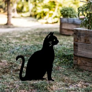 Casa si Gradina - Gradina si terasa - Decoratiuni exterior - Infinity.ro