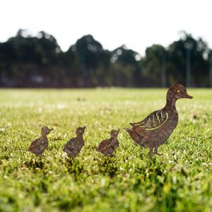 Casa si Gradina - Gradina si terasa - Decoratiuni exterior - Infinity.ro