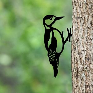 Casa si Gradina - Gradina si terasa - Decoratiuni exterior - Infinity.ro