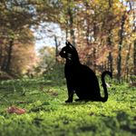 Casa si Gradina - Gradina si terasa - Decoratiuni exterior - Ornamente gradina - Obiect decorativ, Aberto Design, metal, negru, 38x20 cm - Infinity.ro