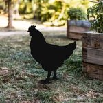 Casa si Gradina - Gradina si terasa - Decoratiuni exterior - Ornamente gradina - Obiect decorativ, Aberto Design, metal, negru, 64x42 cm - Infinity.ro