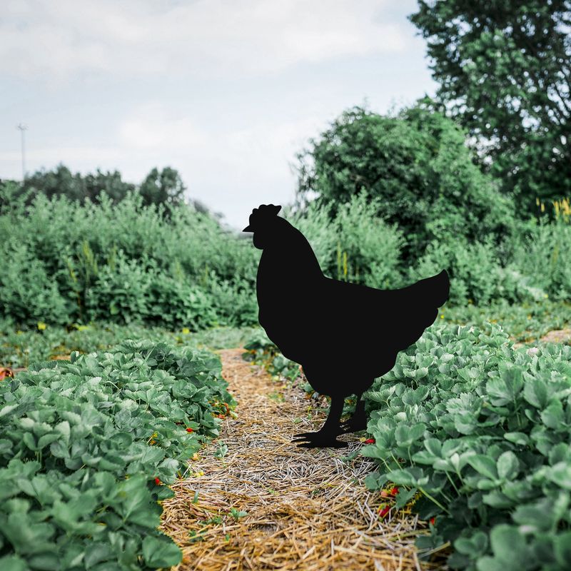 Casa si Gradina - Gradina si terasa - Decoratiuni exterior - Ornamente gradina - Obiect decorativ, Aberto Design, metal, negru, 64x42 cm - Infinity.ro