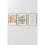 Casa si Gradina - Decoratiuni - Tablouri - Set tablouri decorative inramate, Wallxpert, lemn masiv, multicolor, 33x48 cm, 3 piese, 786DKT1393 - Infinity.ro