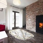 Casa si Gradina - Textile si covoare - Covoare - Covorase intrare - Covoras de intrare, Conceptum Hypnose, gri, 80x150 cm, 100% poliester, antiderapant, 905ANR1707 - Infinity.ro