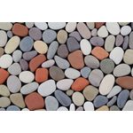 Casa si Gradina - Textile si covoare - Covoare - Covorase baie - Set covorase de baie, L'essentiel Maison, multicolor, 40x60 cm si 60x100 cm, 100% poliester, antiderapant, 323CTW1301 - Infinity.ro