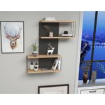 Casa si Gradina - Mobilier - Biblioteci si rafturi - Rafturi - Raft de perete, Hanah Home, pal melaminat, antracit si stejar, 65x19x96 cm - Infinity.ro