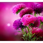 Casa si Gradina - Textile si covoare - Covoare - Covorase baie - Set covorase de baie, L'essentiel Maison, multicolor, 40x60 cm si 60x100 cm, 100% poliester, antiderapant, 323CTW1229 - Infinity.ro