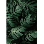 Casa si Gradina - Textile si covoare - Covoare - Covorase baie - Set covorase de baie, L'essentiel Maison, multicolor, 40x60 cm si 60x100 cm, 100% poliester, antiderapant, 323CTW1434 - Infinity.ro