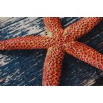 Casa si Gradina - Textile si covoare - Covoare - Covorase baie - Covoras de baie, L'essentiel Maison, multicolor, diametru 100 cm, 100% poliester, antiderapant, 359CHL4288 - Infinity.ro