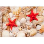 Casa si Gradina - Textile si covoare - Covoare - Covorase baie - Set covorase de baie, L'essentiel Maison, multicolor, 40x60 cm si 60x100 cm, 100% poliester, antiderapant, 323CTW1328 - Infinity.ro