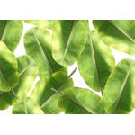 Casa si Gradina - Textile si covoare - Covoare - Covorase baie - Set covorase de baie, L'essentiel Maison, multicolor, 40x60 cm si 60x100 cm, 100% poliester, antiderapant, 323CTW1406 - Infinity.ro