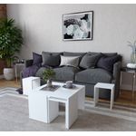 Casa si Gradina - Mobilier - Mese si birouri - Masute de cafea - Set masuta de cafea, Hanah Home, panou de particule melaminat, alb, 60x60x36.8 cm - Infinity.ro