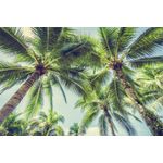 Casa si Gradina - Textile si covoare - Covoare - Covorase baie - Set covorase de baie, L'essentiel Maison, multicolor, 40x60 cm si 60x100 cm, 100% poliester, antiderapant, 323CTW1294 - Infinity.ro