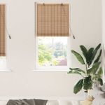 Casa si Gradina - Textile si covoare - Rulouri si jaluzele - Jaluzelele si umbrele pentru feronerie cu perdele Manual 100 x 220 cm - Infinity.ro