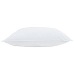 Casa si Gradina - Textile si covoare - Perne si pilote - Perne - Perne 2 pcs Alb 60 x 80 cm 130gsm 100% bumbac - Infinity.ro
