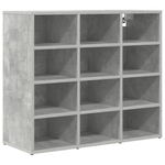 Casa si Gradina - Mobilier - Dulapuri si sifoniere - Dulapuri - Dulap pentru pantofi cu raft Gri Betonal 52.5 x 30 x 50 cm - Infinity.ro