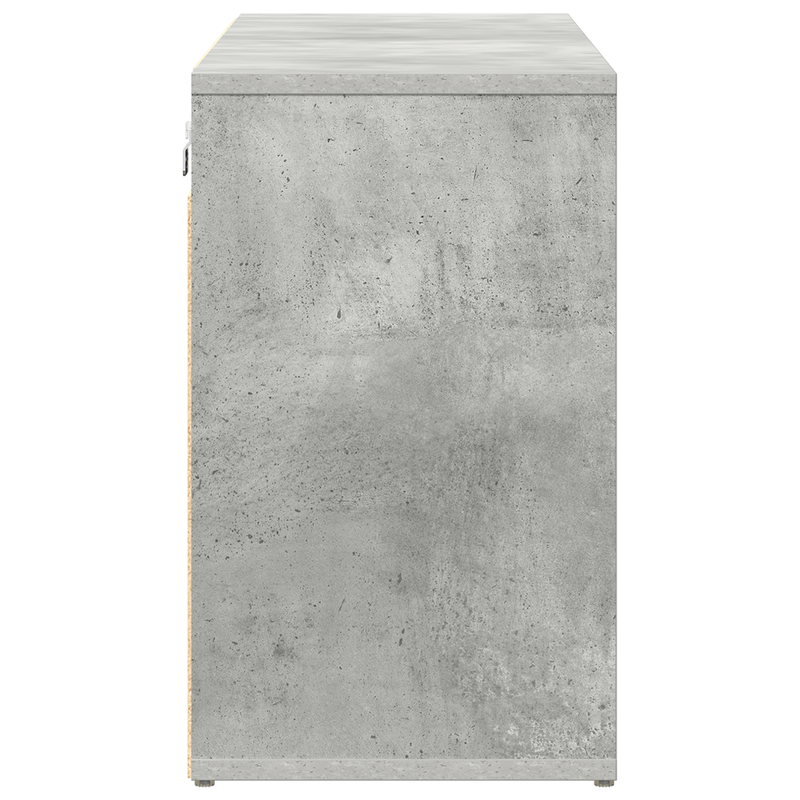 Casa si Gradina - Mobilier - Dulapuri si sifoniere - Dulapuri - Dulap pentru pantofi cu raft Gri Betonal 52.5 x 30 x 50 cm - Infinity.ro