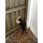 Petshop - Accesorii petshop - Culcusuri si custi - Usi animale - Hublou geam rotund pentru gard, casa de joaca, cusca, potrivit pentru Copii, Caini si Pisici, Ø31cm, Transparent - Infinity.ro