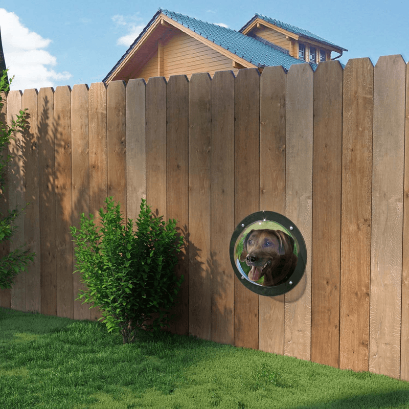 Petshop - Accesorii petshop - Culcusuri si custi - Usi animale - Hublou geam rotund pentru gard, casa de joaca, cusca, potrivit pentru Copii, Caini si Pisici, Ø31cm, Transparent - Infinity.ro