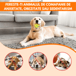 Petshop - Accesorii petshop - Jucarii animale - Jucarii interactive animale - Minge Interactiva pentru Caini si Pisici cu Rotire 360° Automata , Telecomanda, Rezistenta la Apa, Diametru 8 cm, Galben - Infinity.ro