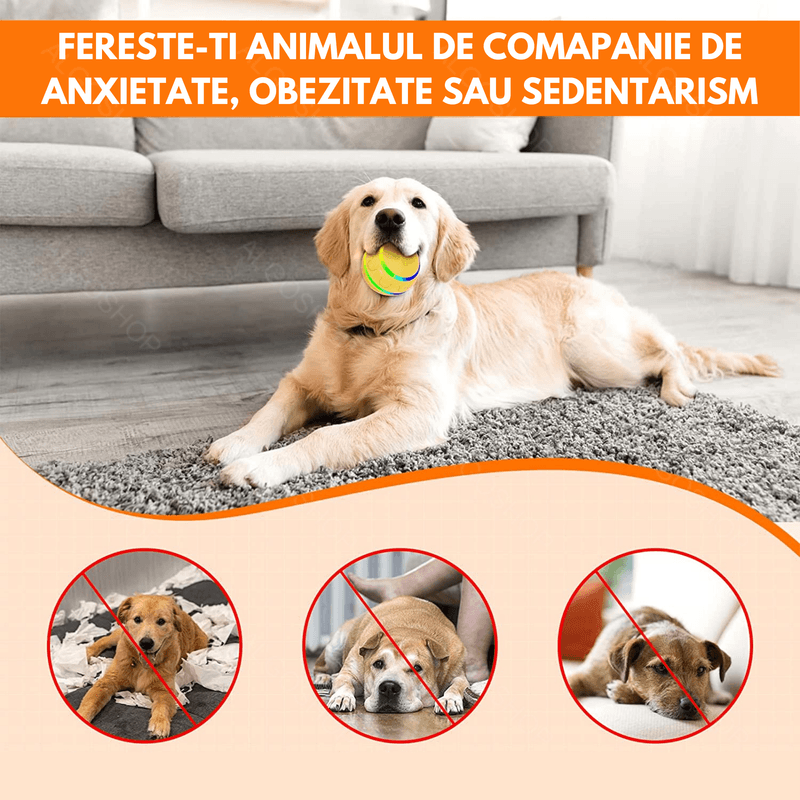 Petshop - Accesorii petshop - Jucarii animale - Jucarii interactive animale - Minge Interactiva pentru Caini si Pisici cu Rotire 360° Automata , Telecomanda, Rezistenta la Apa, Diametru 8 cm, Galben - Infinity.ro