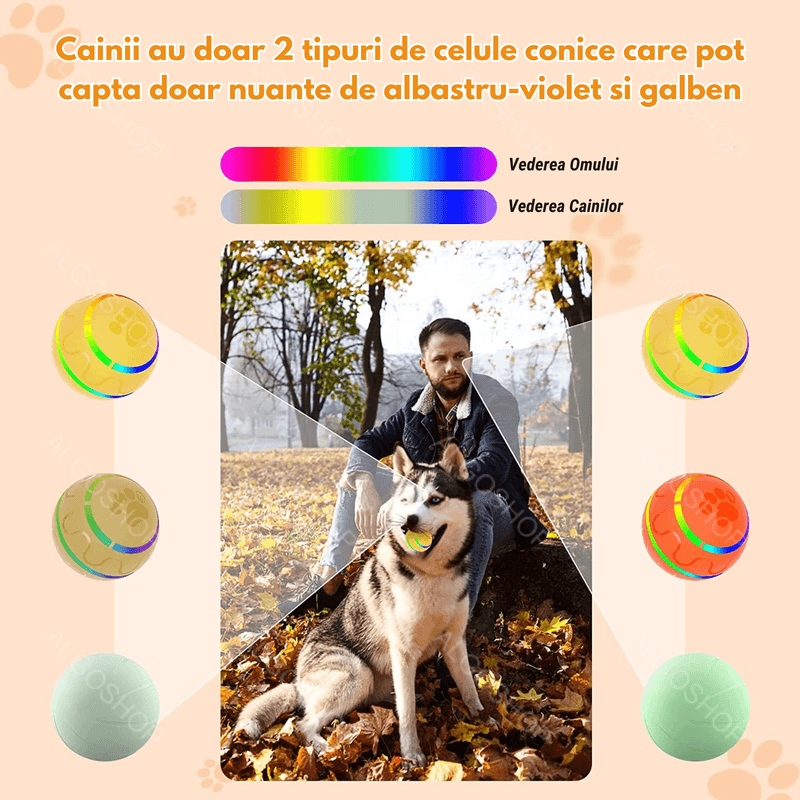 Petshop - Accesorii petshop - Jucarii animale - Jucarii interactive animale - Minge Interactiva pentru Caini si Pisici cu Rotire 360° Automata , Telecomanda, Rezistenta la Apa, Diametru 8 cm, Galben - Infinity.ro