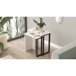 Casa si Gradina - Mobilier - Mese si birouri - Masute de cafea - Set masute de cafea cuib, Hanah Home, pal melaminat, alb, 51x29.5x52.8 cm, 44.5x24.5x47.8 cm - Infinity.ro