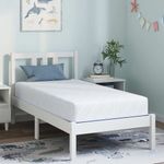 Casa si Gradina - Mobilier - Saltele si somiere - Saltele - Saltele Alb, albastru 80 x 160 cm - Infinity.ro